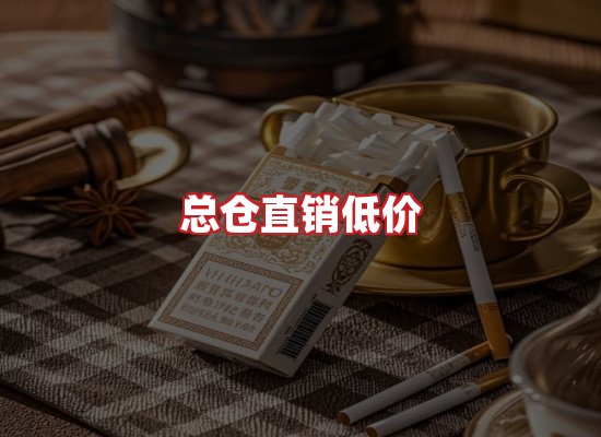专业团队